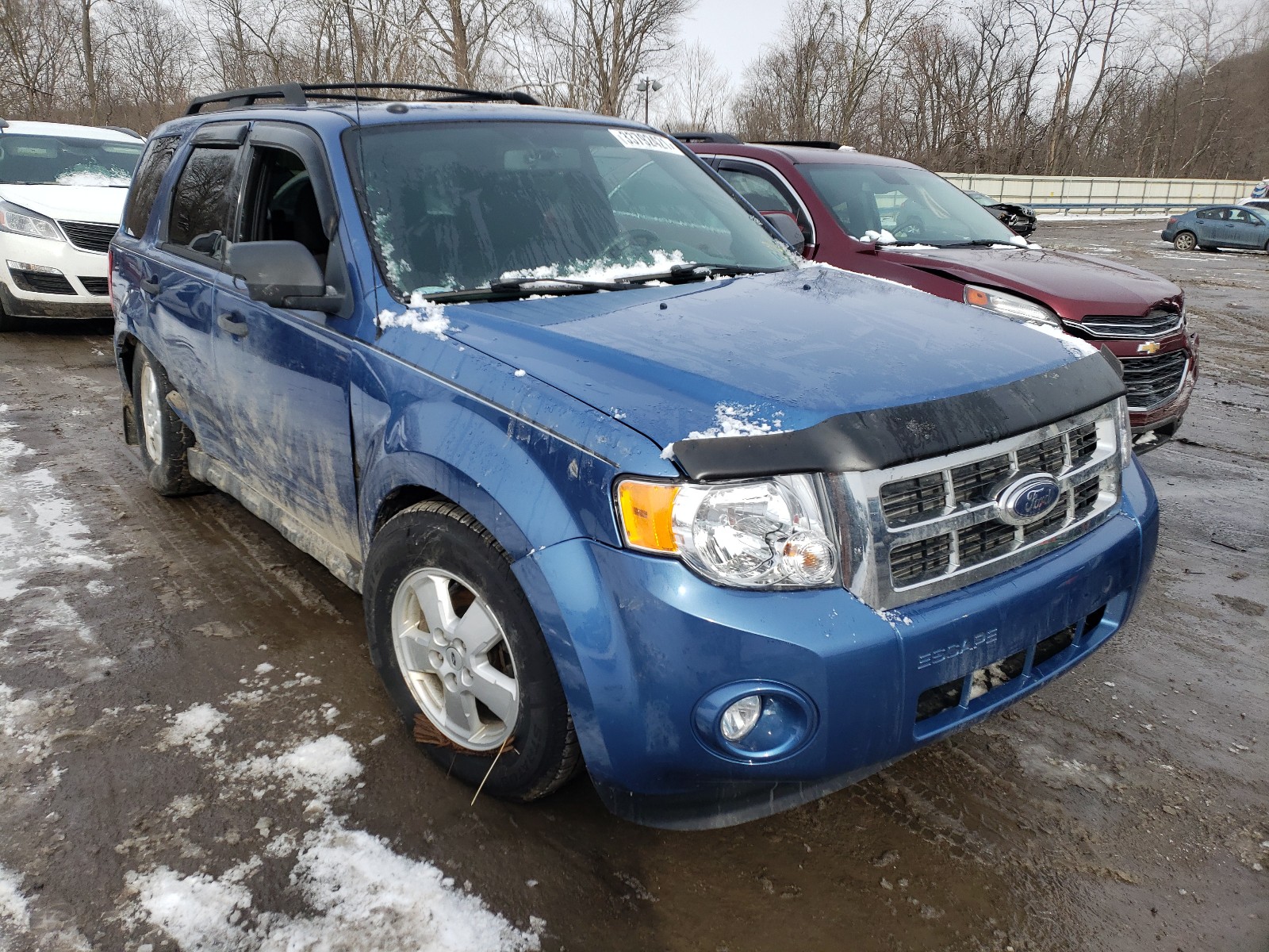 Ford Escape Blue 2010