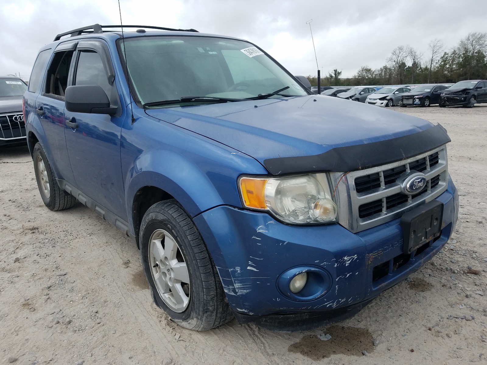 Ford Escape Blue 2010