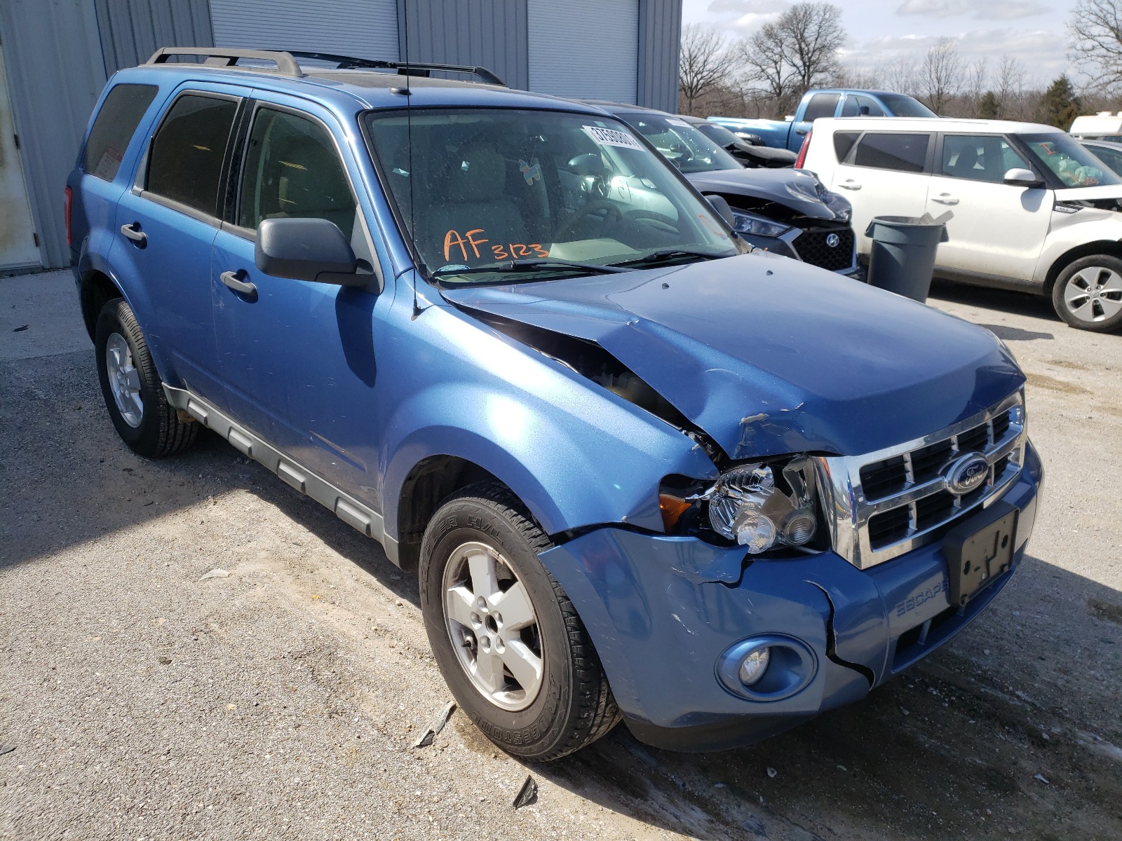 Ford Escape Blue 2010