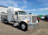 PETERBILT - 379