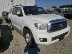 TOYOTA - SEQUOIA