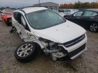 FORD - ESCAPE