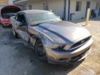 FORD - MUSTANG