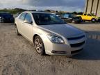 CHEVROLET - MALIBU