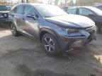 LEXUS - NX