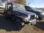 JEEP - WRANGLER