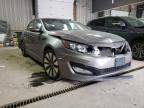 KIA - OPTIMA