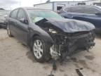 NISSAN - MAXIMA