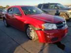 DODGE - AVENGER