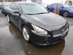 NISSAN - MAXIMA