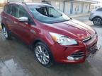FORD - ESCAPE