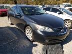 LEXUS - ES350