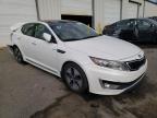 KIA - OPTIMA