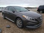 HYUNDAI - SONATA