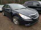 HYUNDAI - SONATA