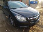 CHEVROLET - MALIBU