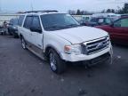 FORD - EXPEDITION