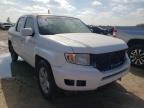 HONDA - RIDGELINE