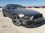 FORD - MUSTANG