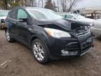 FORD - ESCAPE