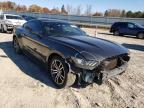 FORD - MUSTANG