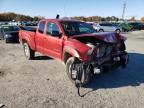 TOYOTA - TACOMA
