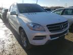 MERCEDES-BENZ - M-CLASS