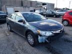 TOYOTA - CAMRY