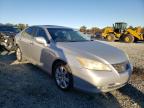 LEXUS - ES350