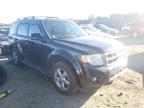 FORD - ESCAPE