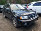 SUBARU - FORESTER