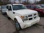 DODGE - NITRO