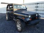 JEEP - WRANGLER