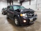FORD - ESCAPE