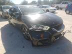 NISSAN - MAXIMA