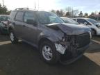 FORD - ESCAPE