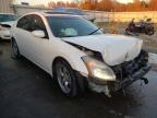 NISSAN - MAXIMA