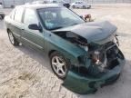NISSAN - SENTRA