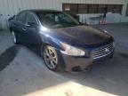 NISSAN - MAXIMA