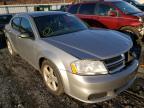 DODGE - AVENGER