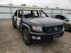 HONDA - RIDGELINE