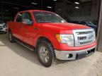 FORD - F-150