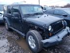 JEEP - WRANGLER