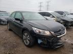 HONDA - ACCORD
