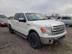FORD - F-150