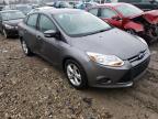 FORD - FOCUS
