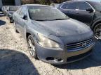 NISSAN - MAXIMA