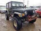 JEEP - WRANGLER