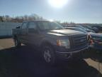 FORD - F-150