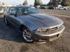 FORD - MUSTANG